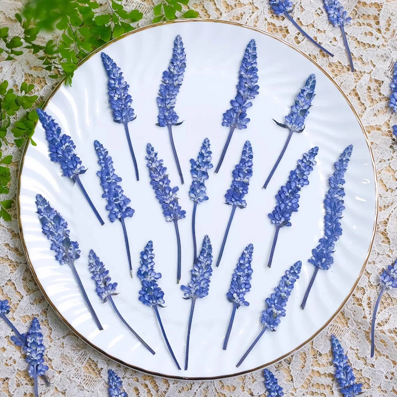 Dried Purple Lavender Flowers Bundle