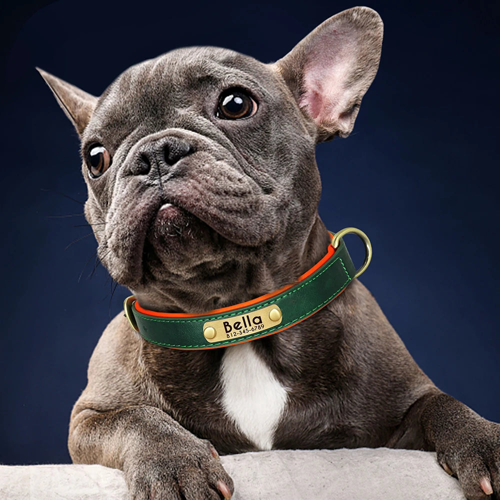 Personalized PU Leather Dog Collar with Free Name Engraving