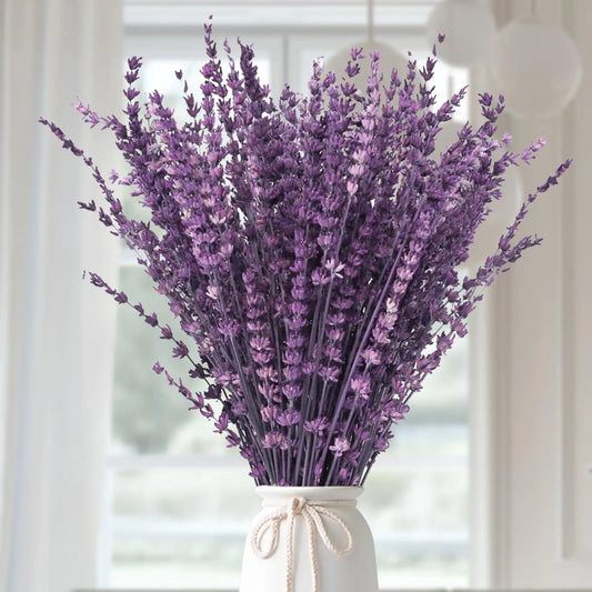 Dried Purple Lavender Flowers Bundle
